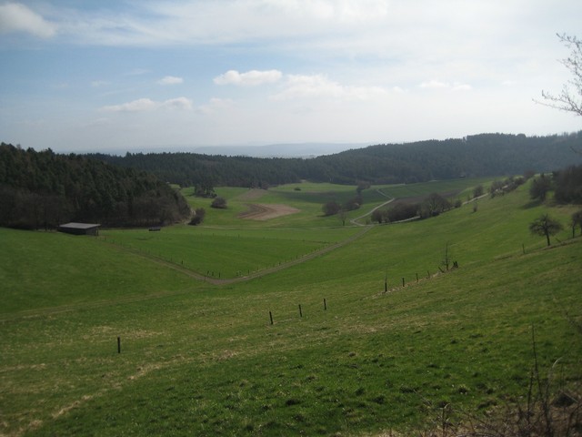 Blick Richtung Burgwald