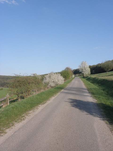 Retzstadter Straße im Frühling