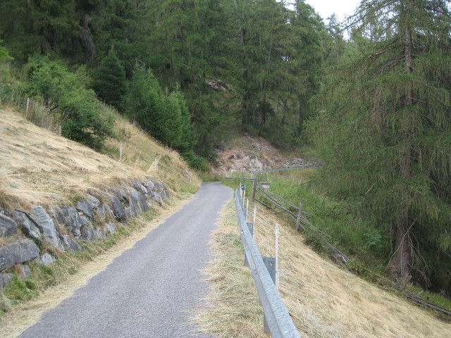 Einsamer Bergweg