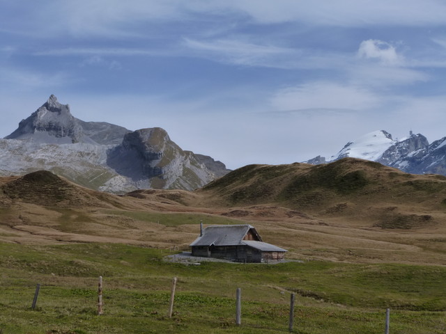 Blick von der Tannalp aus mit Weidegebiet. Der Schneeberg ist der Titlis