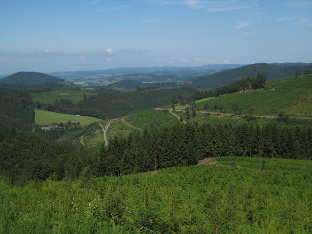 Grünes Rothaargebirge