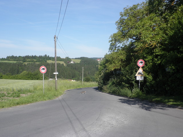 ein paar hundert Meter flach, links (Blickrichtung) kann man auch gleich nach Roßlach abfahren. Zum Gasthaus geht es einfach geradeaus.