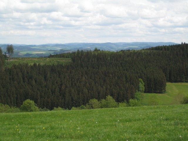Blick Richtung Rothaargebirge