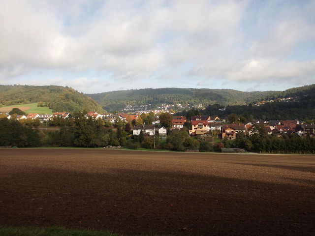 Im Hintergrund Neckargerach