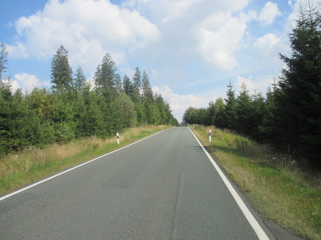 Wald vor Heinersberg II
