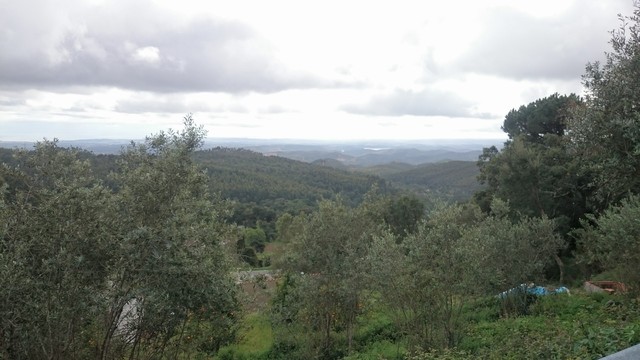 Blick übers Tal