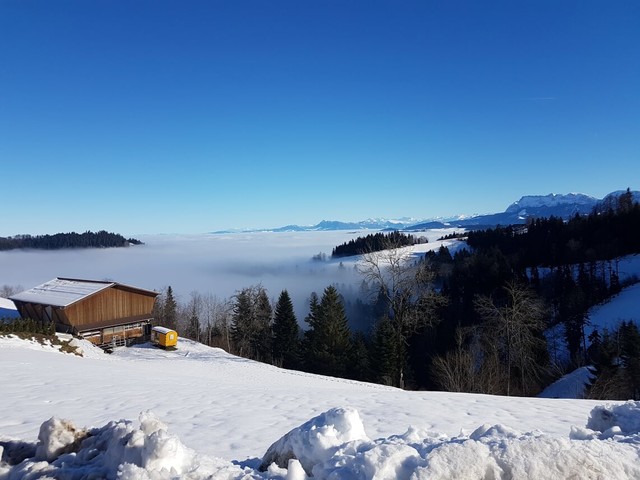 Blick Richtung Luzern ins Nebelmeer