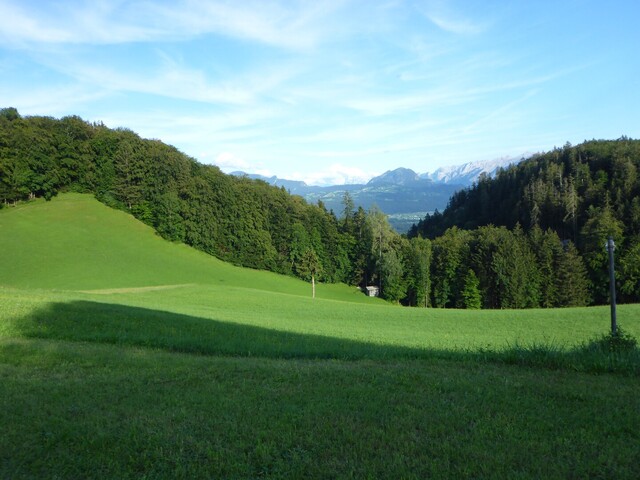 Blick über das Salzachtal auf den Trattberg, den Schwarzerberg und das Tennengebirge