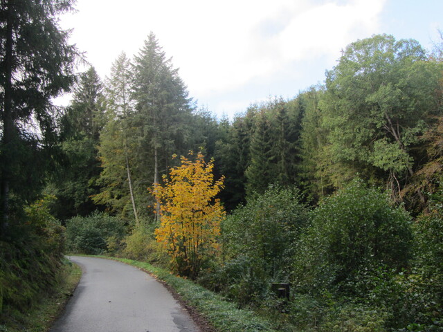 Nordseite: Tendenziell bewaldet.