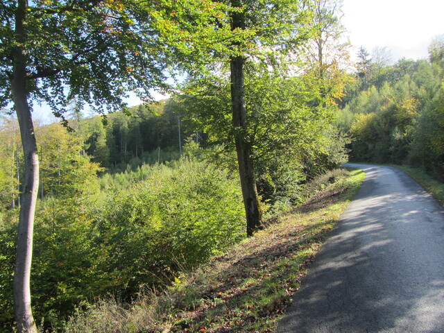 Südseite: Tendenziell bewaldet.
