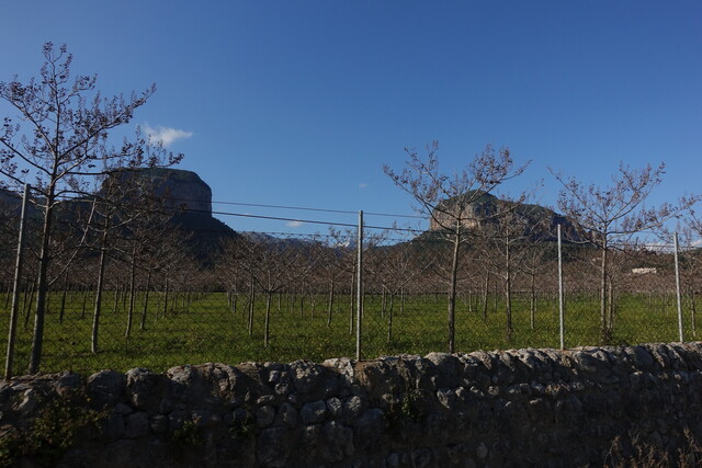 Auf der Westseite mit den beiden Bergstöcken vor Orient: Puig d'Alaró links, Puig de S'Alcadena rechts.