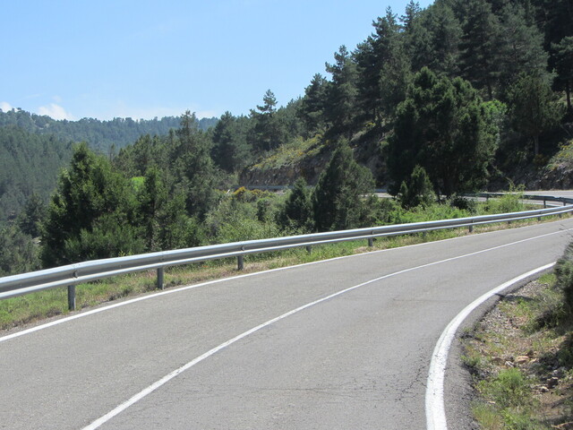 Ostseite: Auf den letzten Kilometern führt die Straße durch eine locker bewaldete Landschaft.
