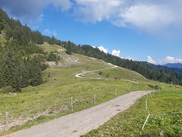 Schotterweg hinter der Lustenauer Ries-Alpe