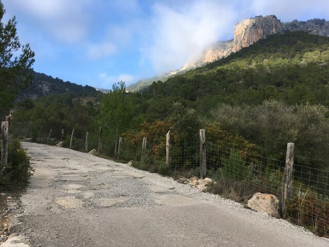 Es Verger (Alaro) - Sodann Übergang vom Flüsterasphalt zur Rumpelstrecke, überragt vom Puig d'Alaro (IMG 2409).