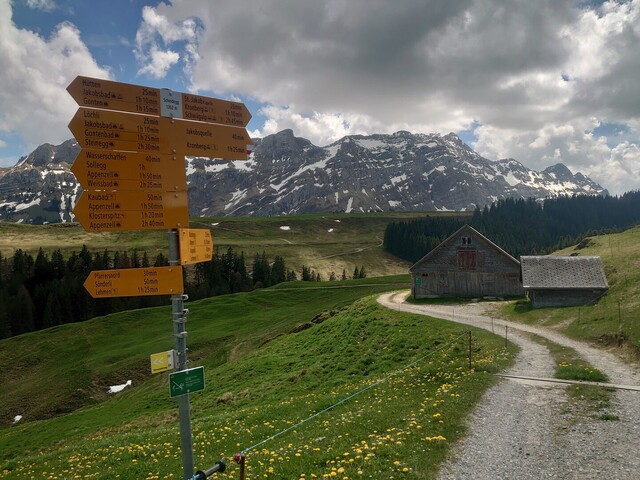 Eine ab hier gröber geschotterte Straße führt vom Berggasthaus Scheidegg noch weiter Richtung Süden zu einem vorgelagerten Höhenrücken. Auf dieser Straße herrscht explizites Radfahrverbot.