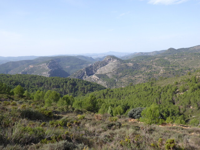 Norden: Blick über die Serra de l'Alcora.