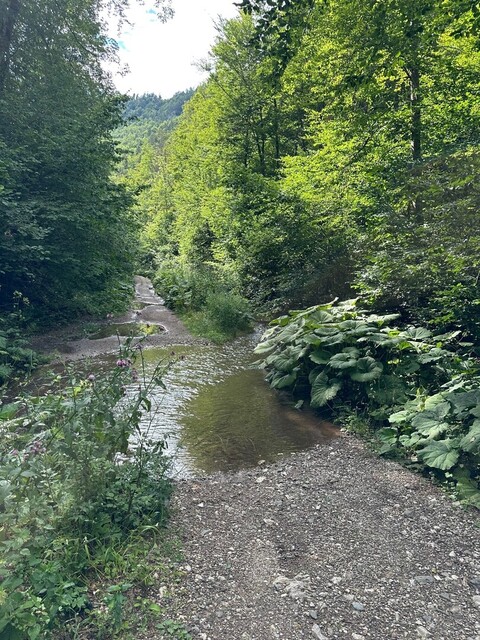 Der Schotteranstieg von Slovinky. Der Bach kann mit einer kleinen Brücke überquert werden. Man kann aber auch durchfahren (nicht tief).