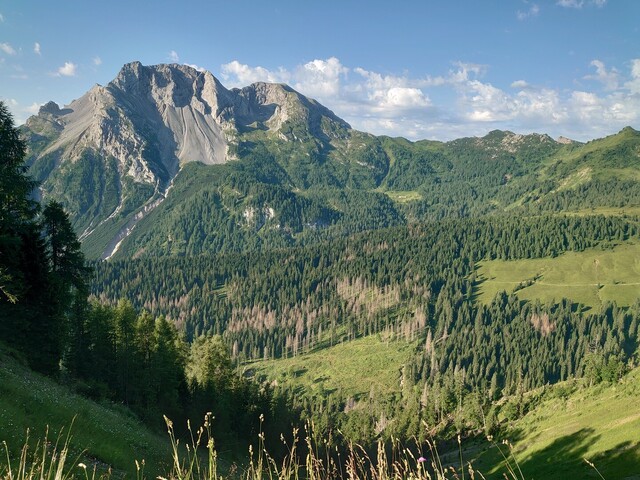 Der Monte Bivera (2474 m) thront über dem Sauriser Tal, rechts die Ausläufer der Alm Malga di Razzo