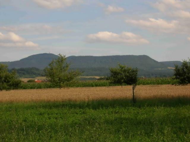 Auf der Weiterfahrt Richtung Mähringen ein Blick auf den Roßberg mit Aussichtsturm.