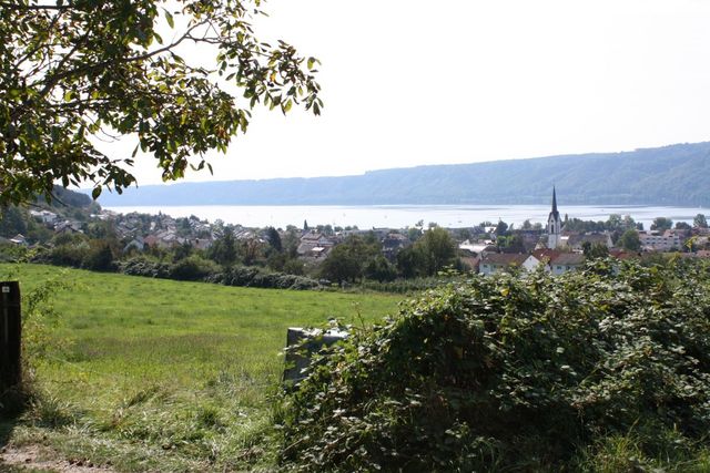 Blick auf Ludwigshafen und den Bodensee.