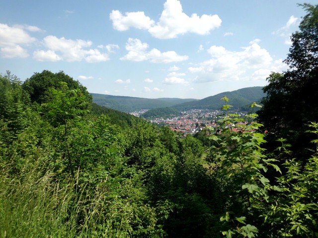 toller Ausblick auf Eberbach im Neckartal