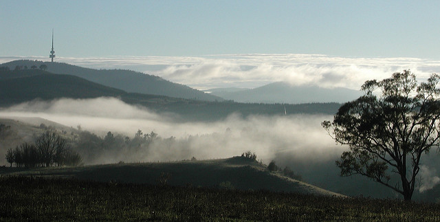 Blick über das Tal Canberras und Black Mountain
von stello

https://www.flickr.com/photos/spelio/4423052431/
