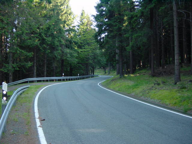Drei Kilometer führt diese schöne Straße durch den Wald.