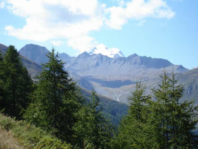 Blick nach Westen auf den Grande Casse (3861 m)