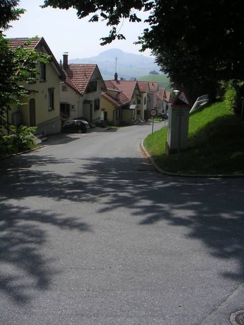 Die letzen Meter Steigung nach Rehetobel hinein (Blick Richtung Speicherschwendi/St. Gallen)