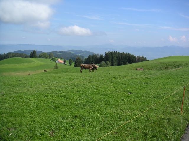 Blick Richtung Allgäu und Vorarlberg.
