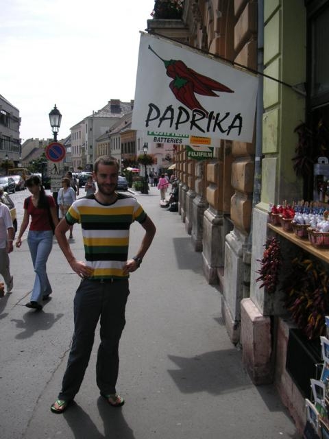 Paprika gibt es in Ungarn an allen Ecken und Enden.