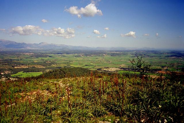 Die Ausläufer der Serra de Tramuntana bis zum __(Cap de Formentor).