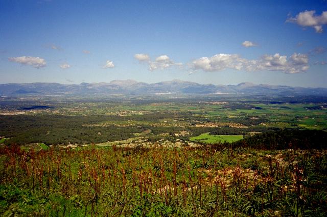 Rundumsicht auf dem __[Puig de Randa|244]. Blick auf die Serra de Tramuntana im Westen.