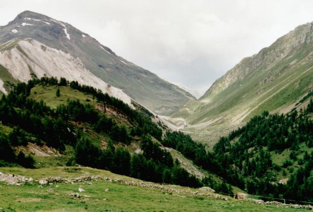 4 km vor der Berninapassh&ouml;he kann man rechts zum Forcola di Livigno abbiegen.Tag 3 Sommertour 2001