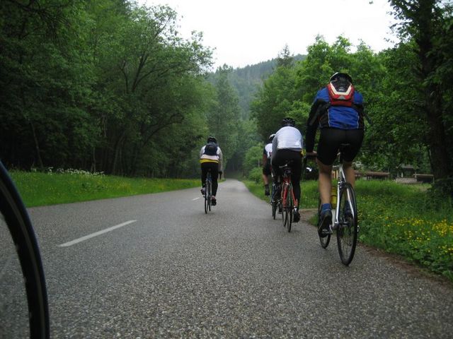 Unterwegs in den Vogesen oberhalb von Ribeauvillé.