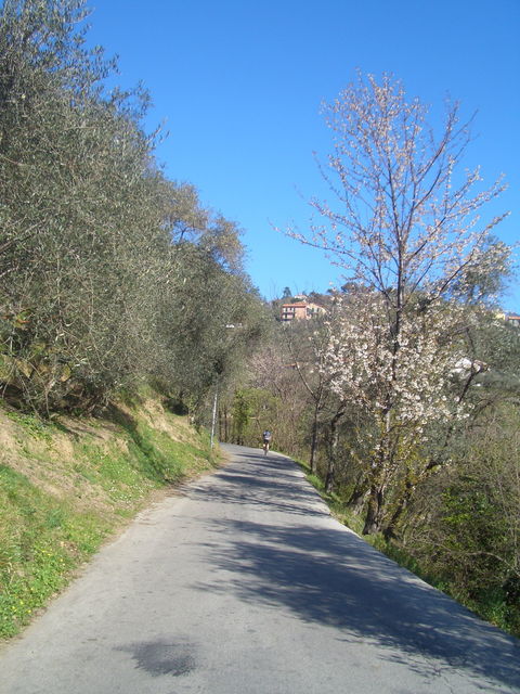Auffahrt von Chiavari im März