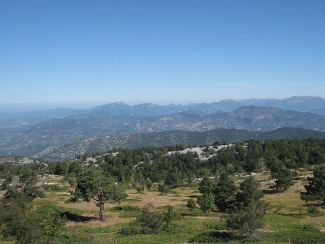 Schöne Provençal-Landschaft