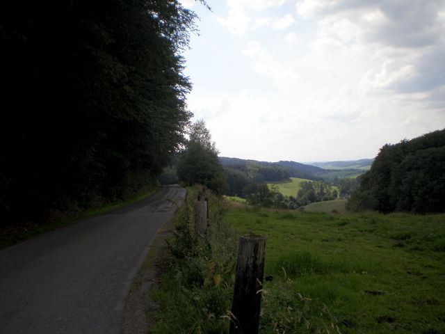 Straße zwischen dem Wiedig und dem Steinberg, Blick herab ins Sülztal.