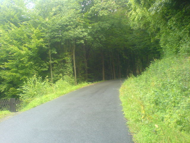 Nach dem Flachstück zieht die Straße wieder in den Wald