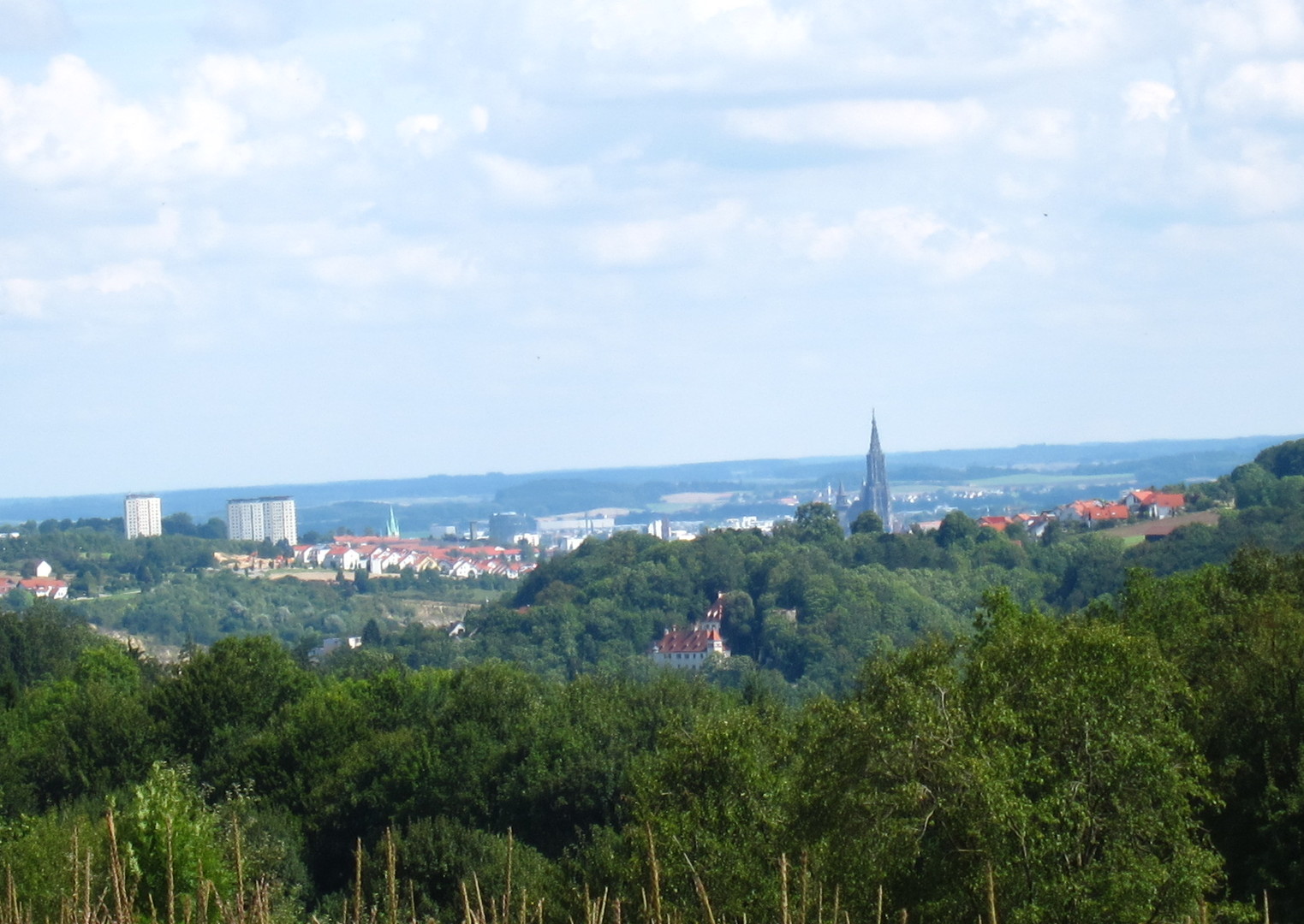 Blick vom oberen Teil der Wippinger Steige auf Ulm mit Münster und Schloss Klingenstein (im Wald)