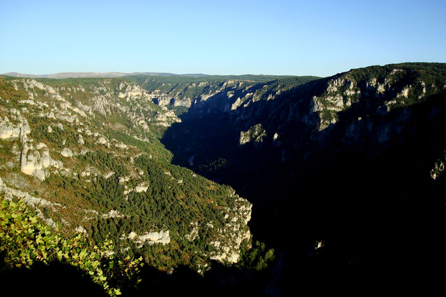 Blick ins Schluchtensystem des Tarns von der Causse de Sauveterre.