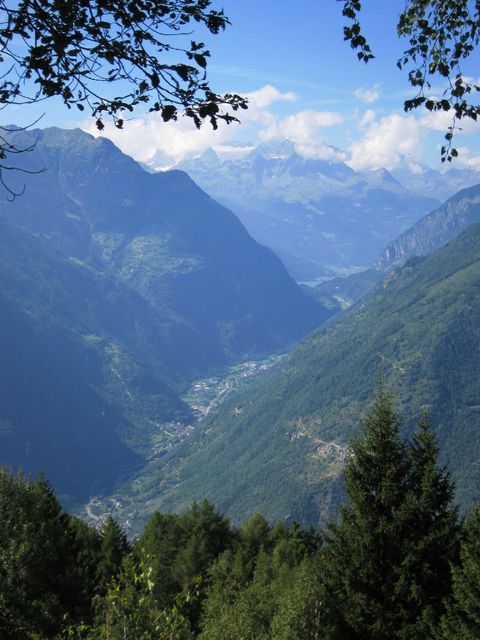 Monte Padrio,  Blick ins Val Poschavio mit Bernina Gruppe im Hintergrund.