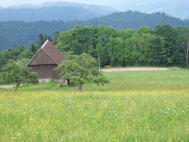 Sommerwiesen am Eulersbach