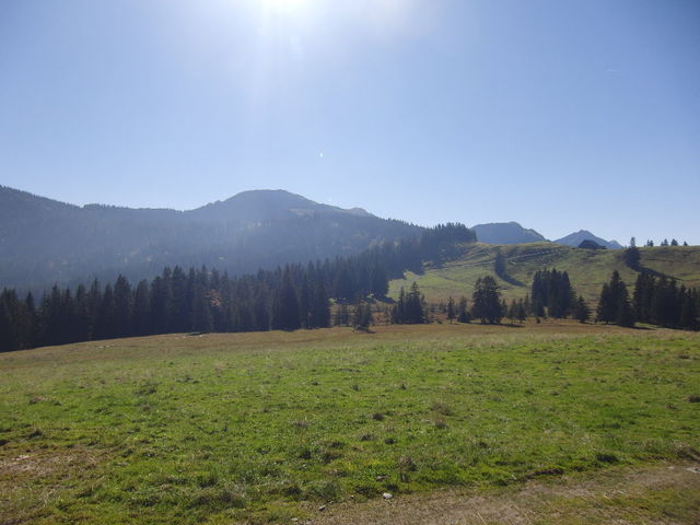 die Mittelberg Alpe