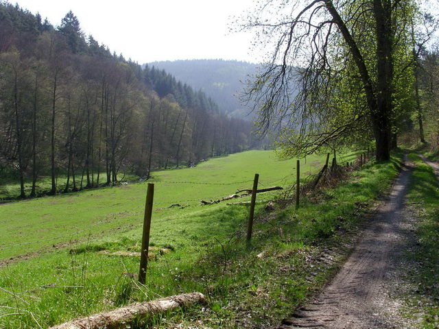 Gabelbachtal hinter Ernsttal