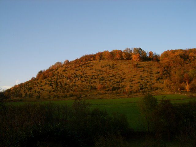 Michelsberg
von Unterböhringen, Wacholderheide im Spätherbst