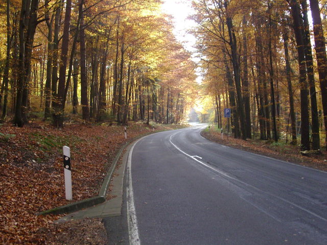 Nähe Oberbrunnschlucht.