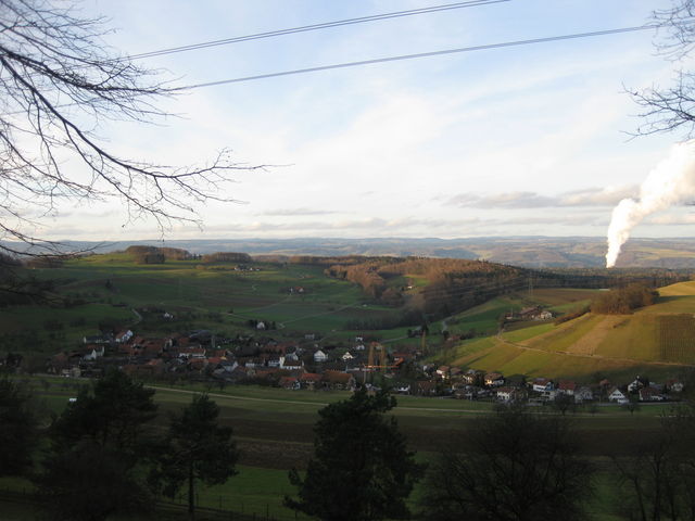 Blick zum Schwarzwald (Januar 2011)