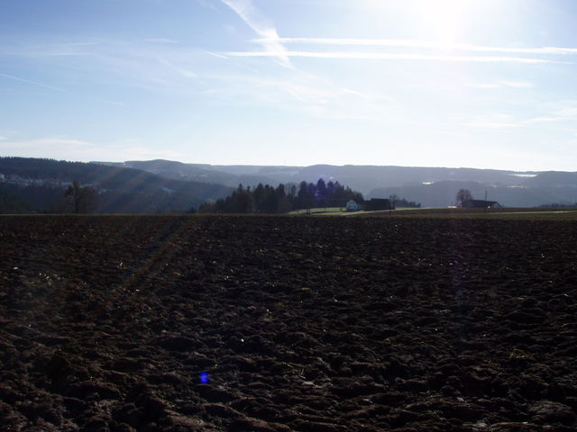 Toller Blick auf dem Lienberg, unmittelbar neben dem Gipfel des Eselbachs