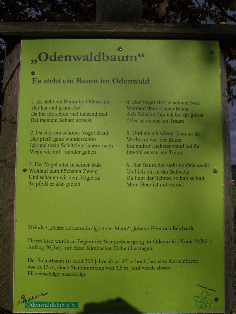 Infos zum Kimbacher Odenwaldbaum.